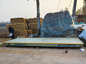 焦作保江養(yǎng)殖場(chǎng)30噸地磅