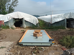 周口太康縣馬頭鎮(zhèn)舒屯村農(nóng)緣菌業(yè)20噸地磅