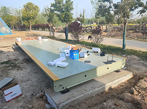 安徽潁上縣李寶申家庭農(nóng)場(chǎng)40噸