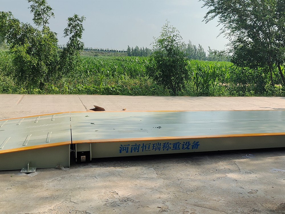 菏澤定陶區(qū)豐莊糧站1