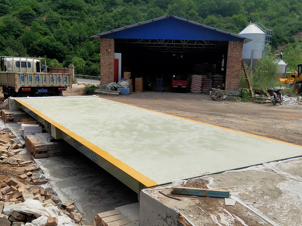 山西巨鑫養(yǎng)殖5