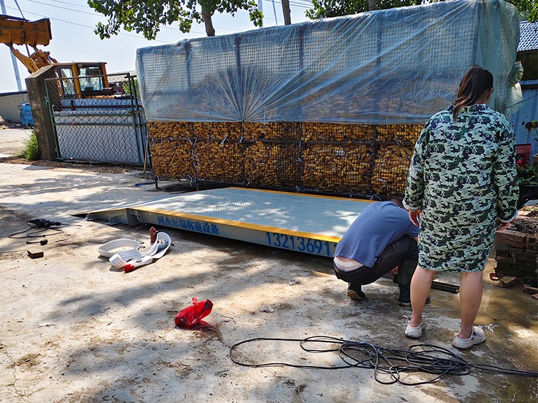 蘭考養(yǎng)殖場(chǎng)3