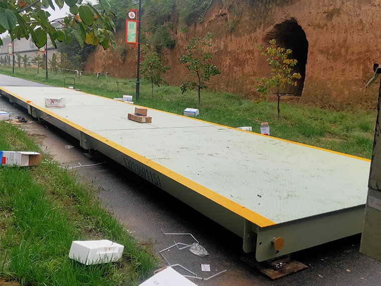 陜西沐梵農(nóng)林1