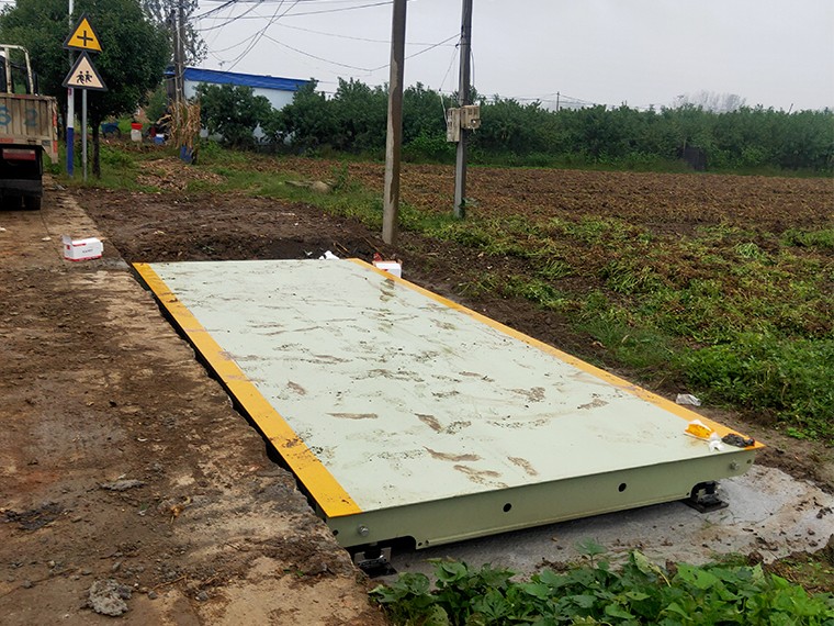 大盧村農(nóng)業(yè)合作社2