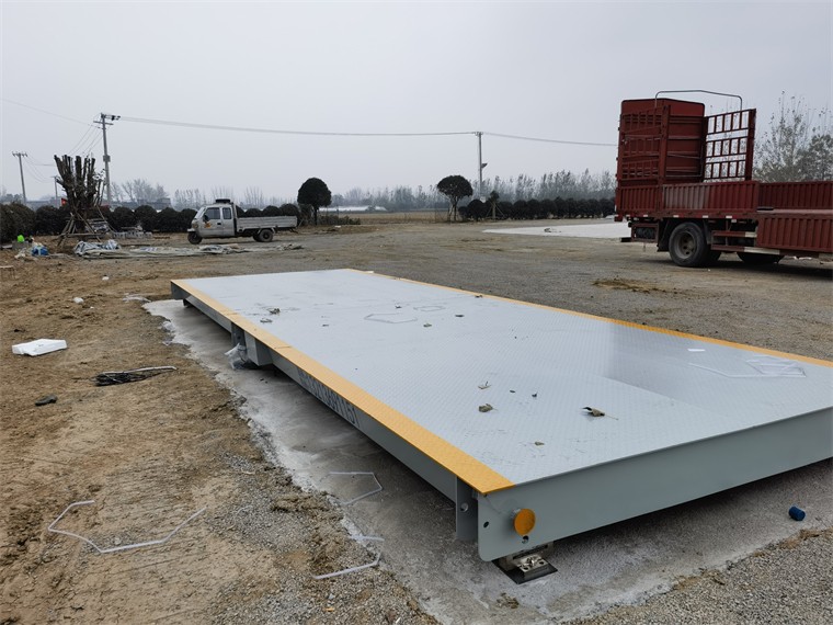 安徽亳州馬韜鯉農(nóng)場04