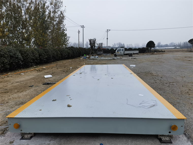 安徽亳州馬韜鯉農(nóng)場05