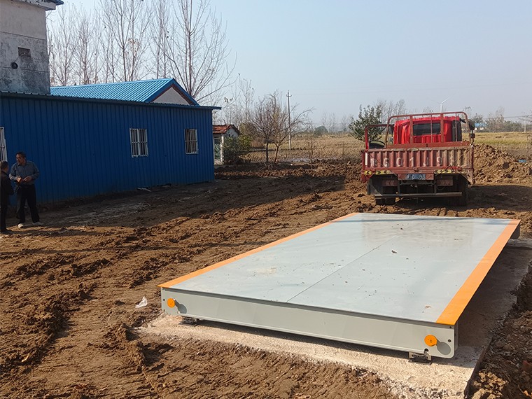 固始縣傳偉家庭農(nóng)場(chǎng)1