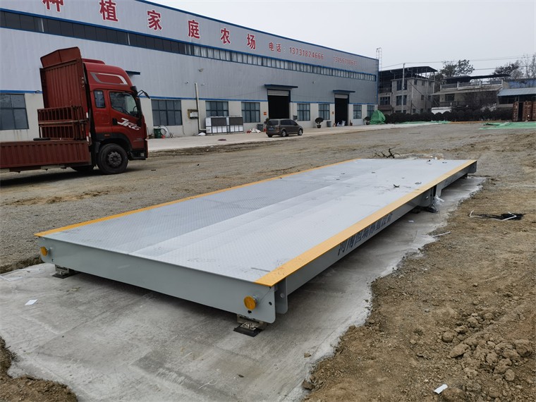 安徽亳州馬韜鯉農(nóng)場03