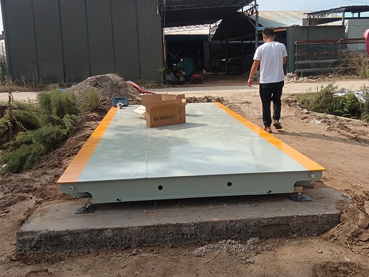 周口太康縣馬頭鎮(zhèn)菌業(yè)1