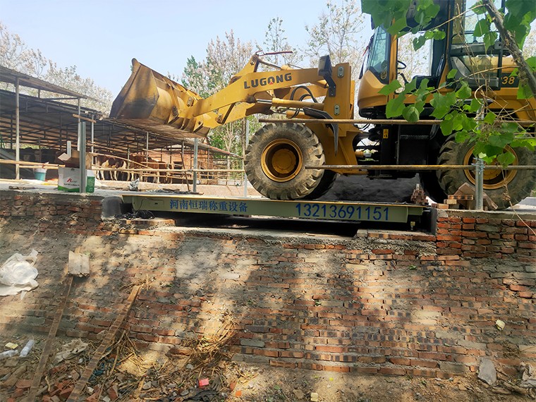 許昌水潮店養(yǎng)牛場1