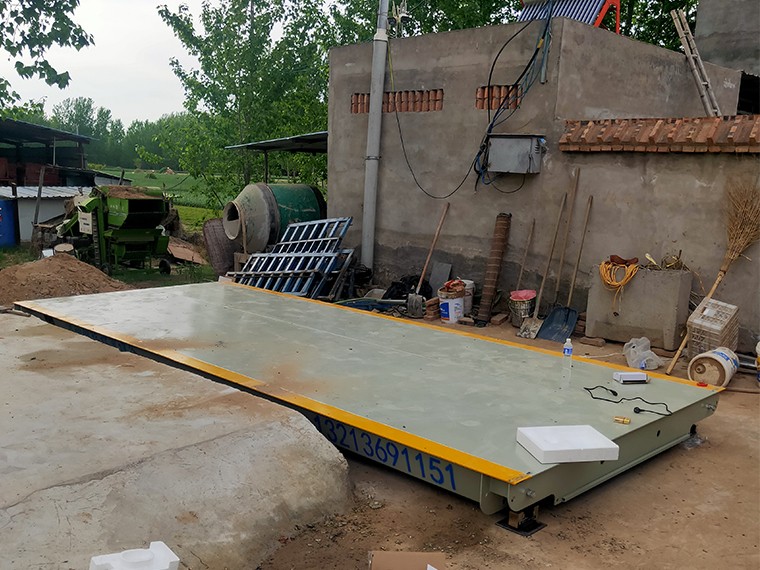 鄢陵縣彭店鎮(zhèn)大蒜收購(gòu)1