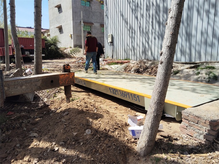 扶溝祥晨種業(yè)01