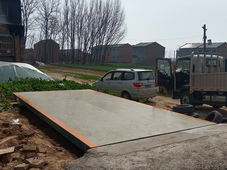 民權縣榮山農(nóng)業(yè)合作社1